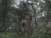 Cumberland Gap National Park