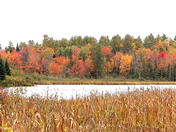 Lake in the Gatineau Park