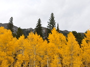 Rocky Mountain National Park