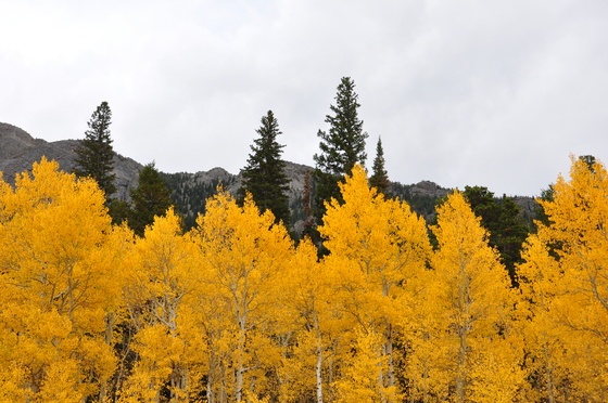 Rocky Mountain National Park