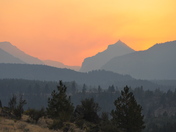 Bitterroot National Forest