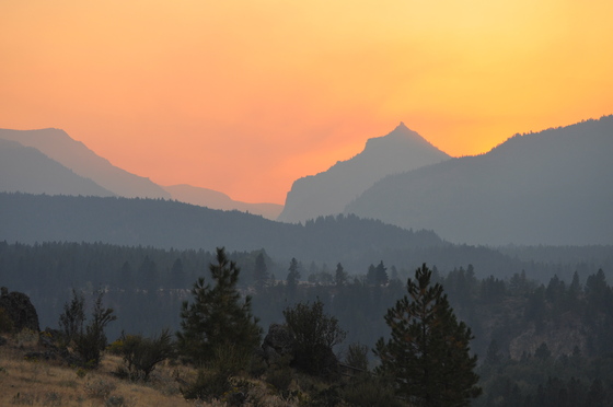 Bitterroot National Forest