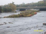 Autumn on the Moira River