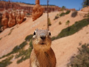 Bryce Canyon National Park