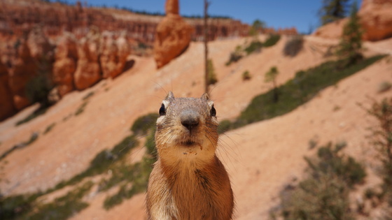 Bryce Canyon National Park