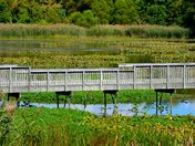 John Heinz National Wildlife Refuge