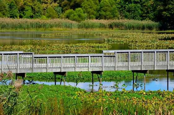 John Heinz National Wildlife Refuge