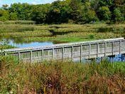 John Heinz National Wildlife Refuge