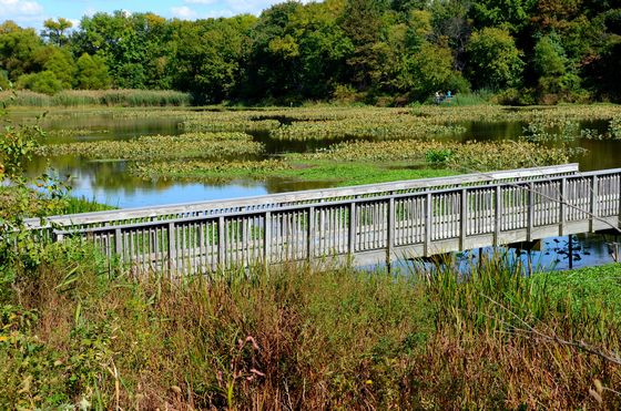 John Heinz National Wildlife Refuge