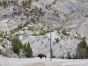 Yellowstone National Park