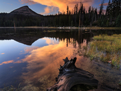 Uinta National Forest