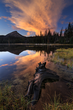 Uinta National Forest