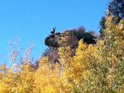 Mt. Taylor