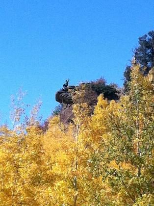 Mt. Taylor