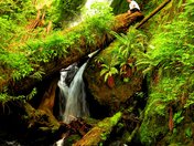 Olympic National Park