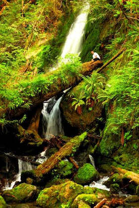 Olympic National Park