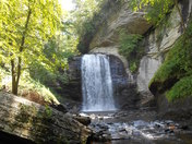Pisgah National Forest