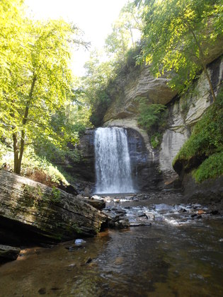 Pisgah National Forest