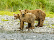 Katmai National Park