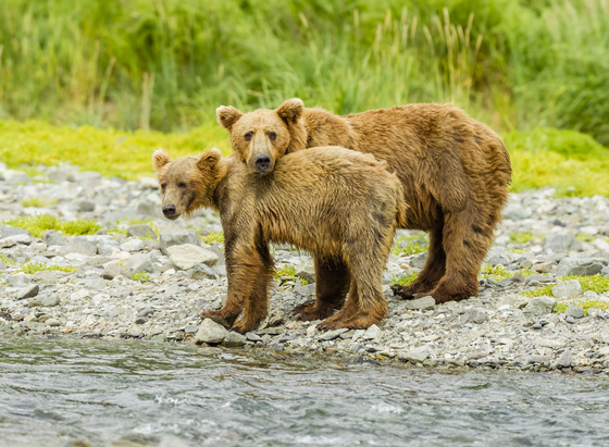 Katmai National Park