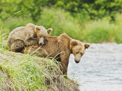 Katmai National Park