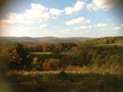 Allegheny National Forest