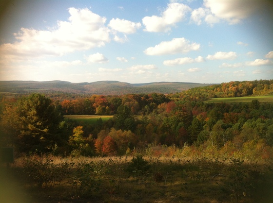 Allegheny National Forest