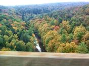 Allegheny National Forest