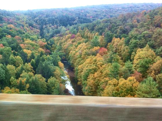 Allegheny National Forest