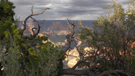 Grand Canyon National Park
