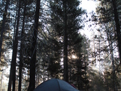 Yosemite National Park