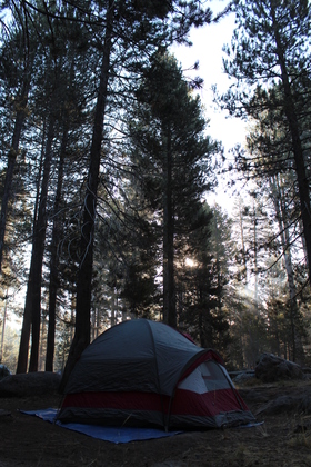 Yosemite National Park