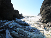 Olympic National Park