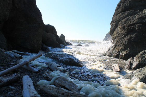 Olympic National Park