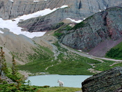 Glacier National Park