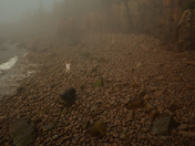Acadia National Park