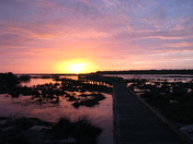 Bayou Sauvage NWR