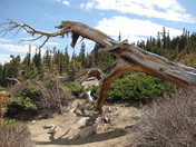Mt Evans Recreation Area