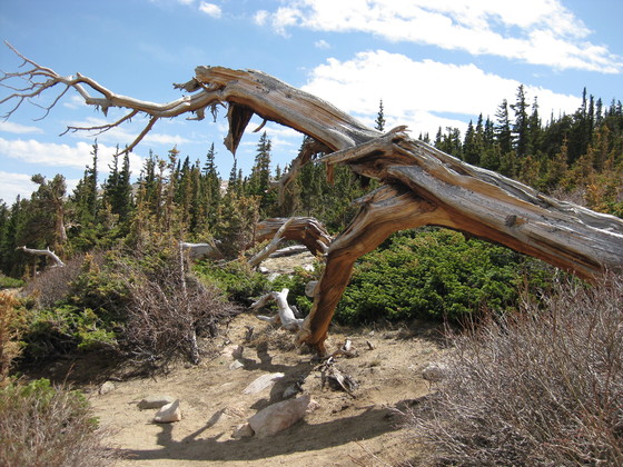 Mt Evans Recreation Area
