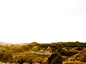 Theodore Roosevelt National Park 