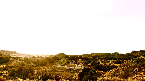 Theodore Roosevelt National Park 