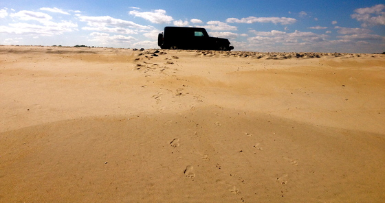 Assateague Island National Seashore