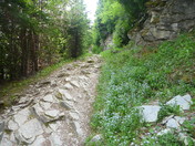 Rocky trail