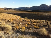  Red Rock Canyon National Conservation Area