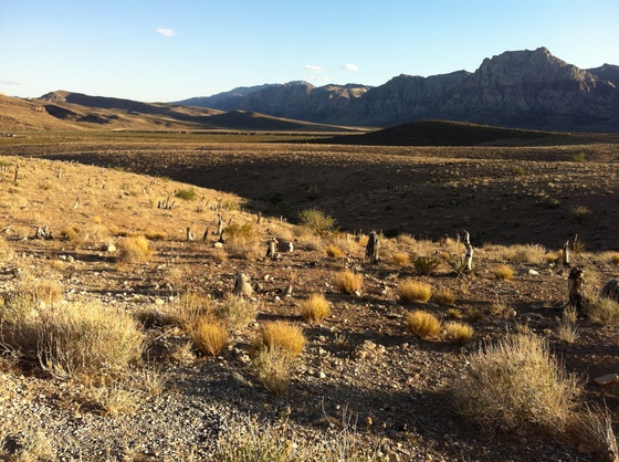  Red Rock Canyon National Conservation Area