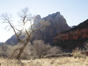 Zion National Park