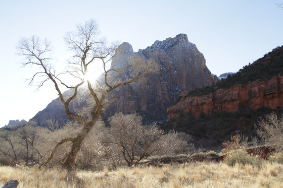 Zion National Park
