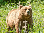 Lake Clark National Park