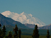Denali Naional Parkt