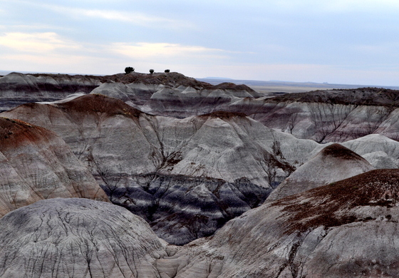 Painted Desert National Park